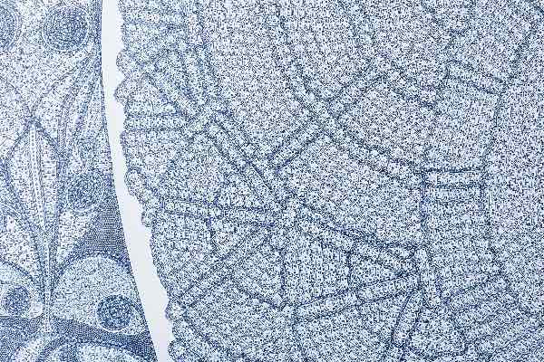 西脇直毅, Naoki Nishiwaki