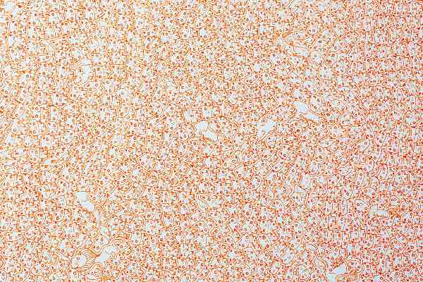 西脇直毅, Naoki Nishiwaki