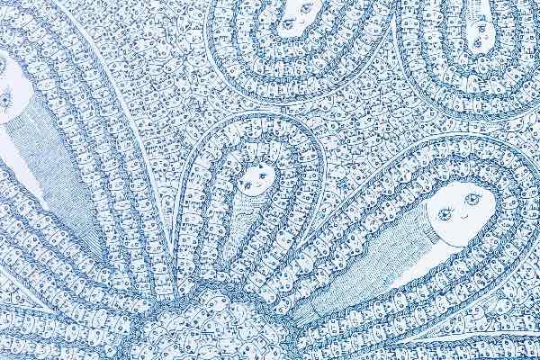 西脇直毅, Naoki Nishiwaki