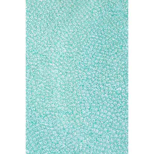 西脇直毅, Naoki Nishiwaki