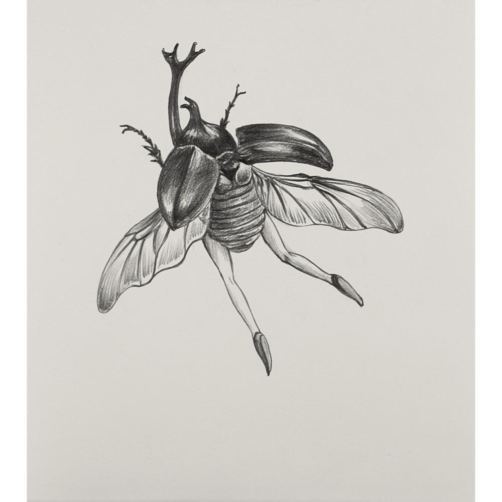 鴻池朋子, Tomoko Konoike, 素焼粘土, 焼物, オブジェ, こうのいけともこ, ドローイング, drawing