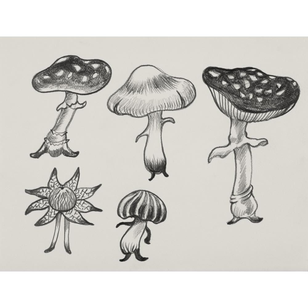 鴻池朋子 ／ Tomoko Konoike - pencil drawings at Galerie