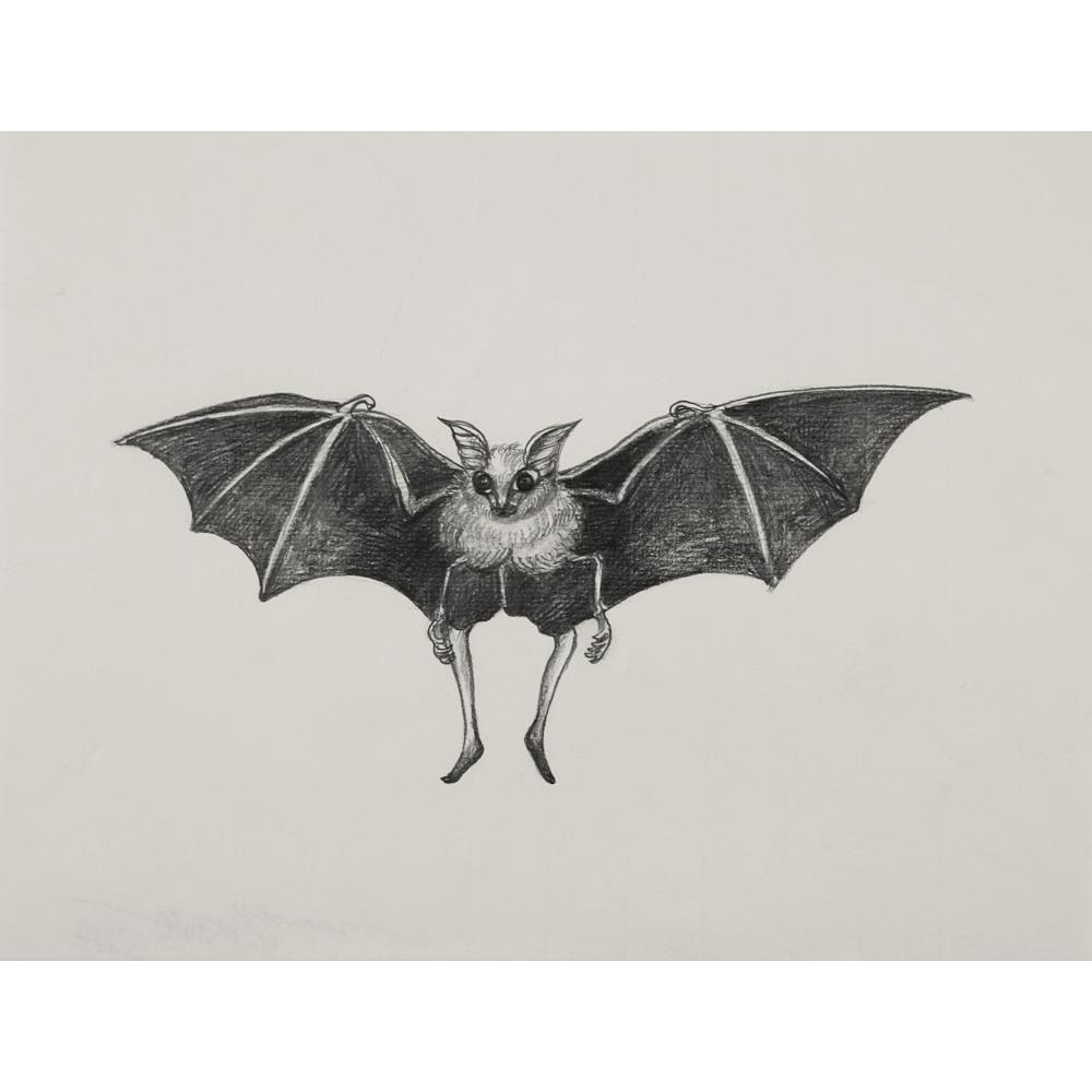 鴻池朋子, Tomoko Konoike, こうのいけともこ, ドローイング, drawing, ドローイング