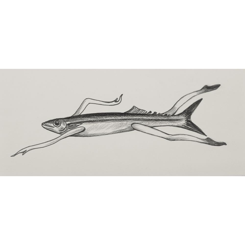 鴻池朋子, Tomoko Konoike, こうのいけともこ, ドローイング, drawing, ドローイング