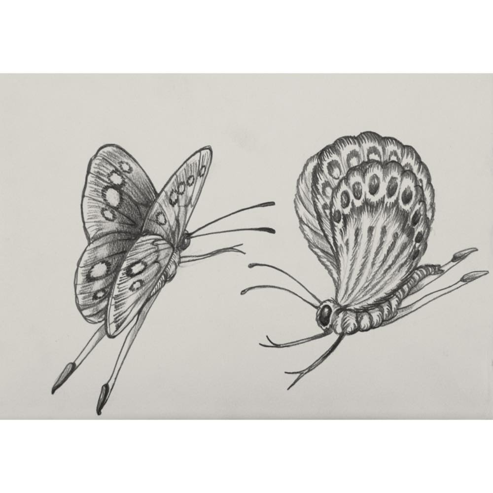 「無題」鴻池朋子2010年【複製】 無題」鴻池朋子2010年【複製】 無題」鴻池朋子2010年【複製】 2025年