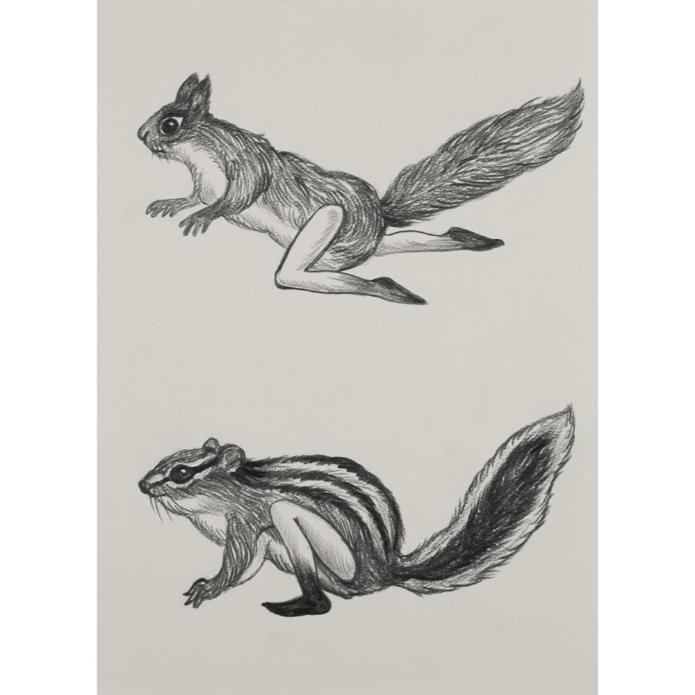 鴻池朋子 ／ Tomoko Konoike - pencil drawings at Galerie Miyawaki