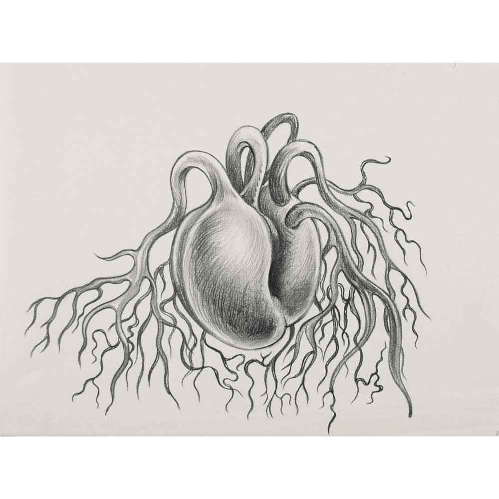 鴻池朋子, Tomoko Konoike, 素焼粘土, 焼物, オブジェ, こうのいけともこ, ドローイング, drawing