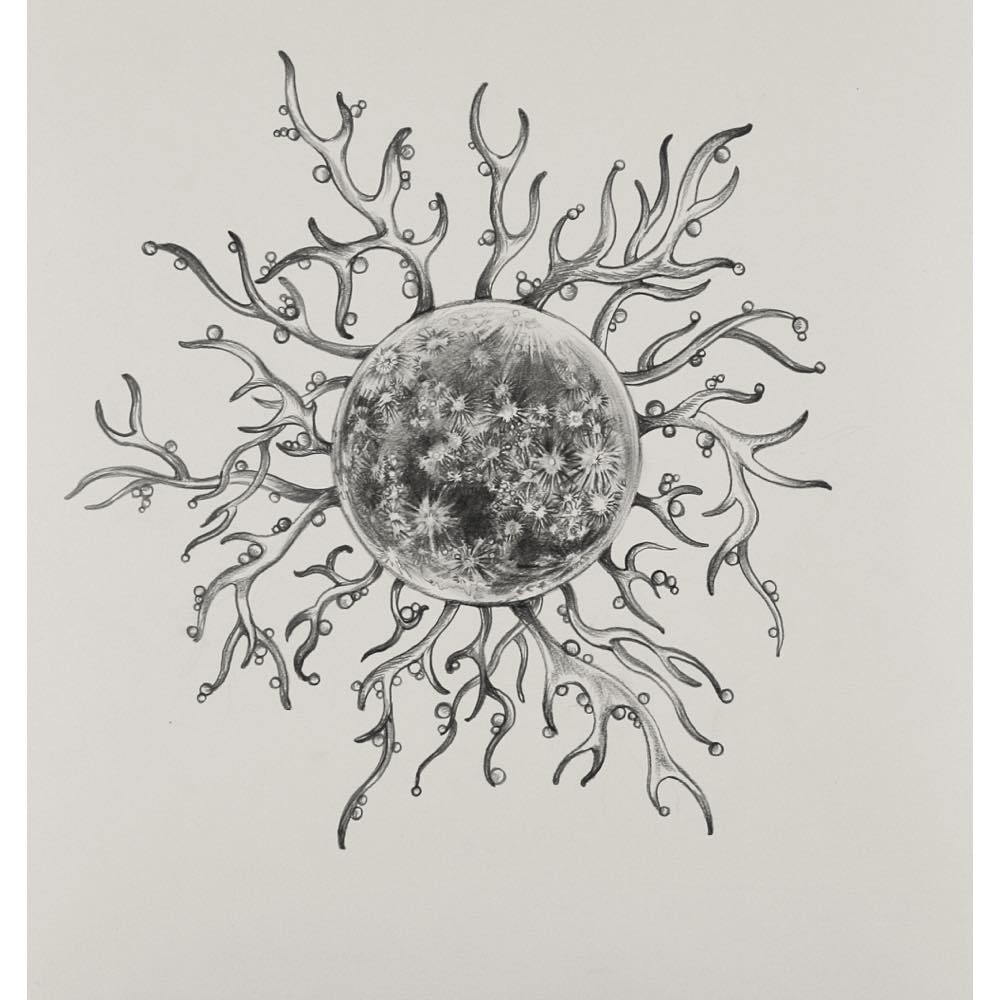 鴻池朋子, Tomoko Konoike, 素焼粘土, 焼物, オブジェ, こうのいけともこ, ドローイング, drawing